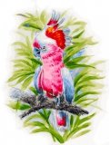 Живопись на холсте "Розовый попугай", 30х40 см (361-AS)