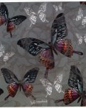Тетрадь "Бабочки", А5, 48 листов, линейка (С2549-72)