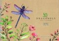 Альбом для рисования на гребне "Dragonfly", А4, 24 листа (А24сп_36052)