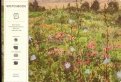 Скетчбук. Весенние цветы (формат В5, 128 стр, открытый корешок, бумага слоновая кость)